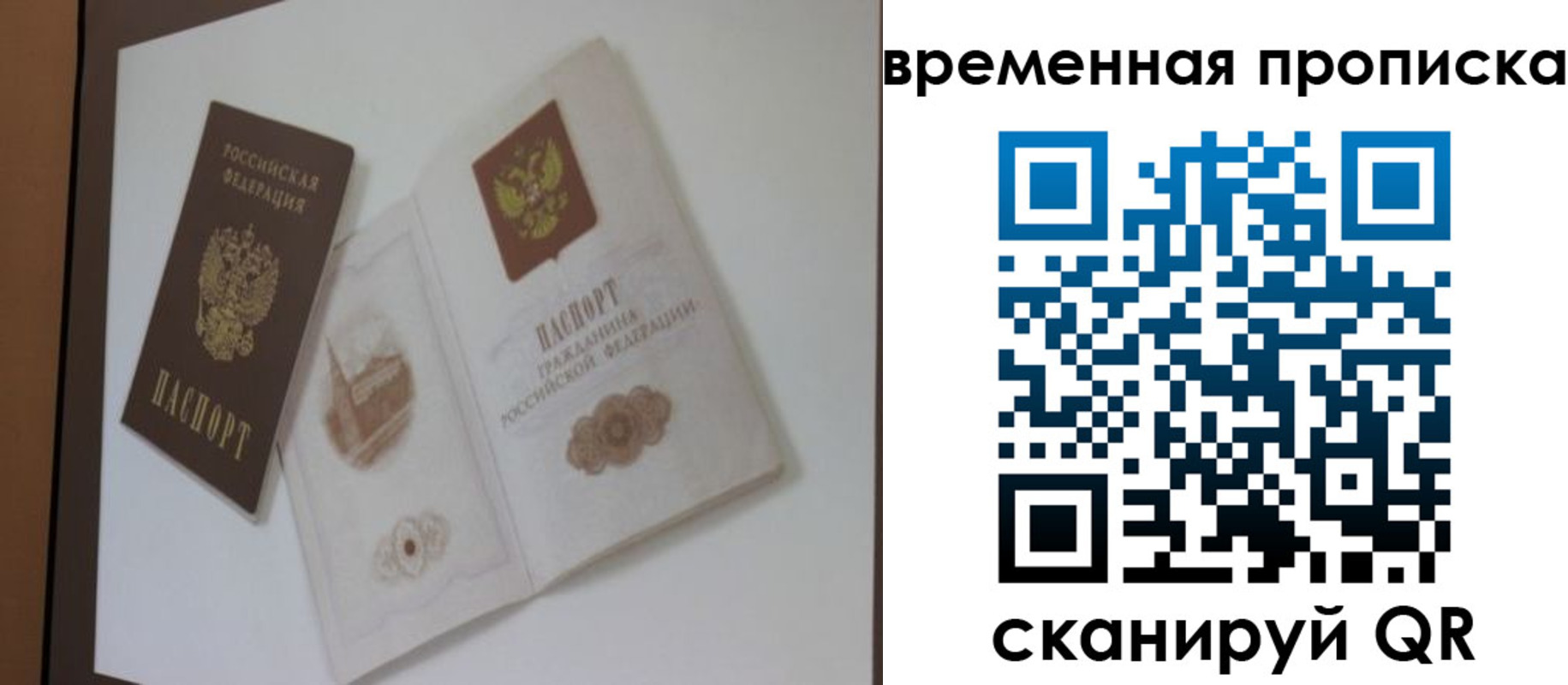 прописка 2025 в Заозёрске